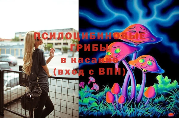 соль курить ск Козельск