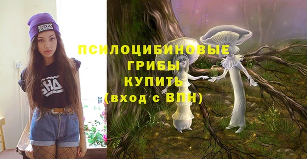 соль курить ск Козельск