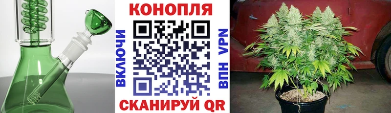 Купить  Оренбург  МАРИХУАНА OG Kush 